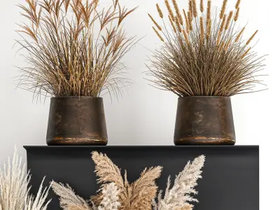 Collection of bouquets of dried flowers 207 3D model