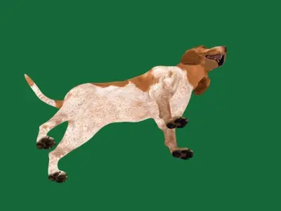 Bracco Italiano Dog 3D model