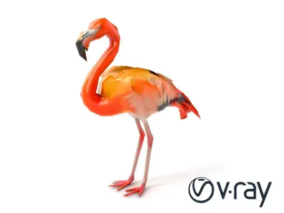 Flamingo Tropical Creature model pack Low-poly 3D model
