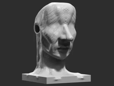 human head modern sculpture 3d print model 90 3D print model