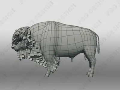 Buffalo bison - bison Low-poly 3D model