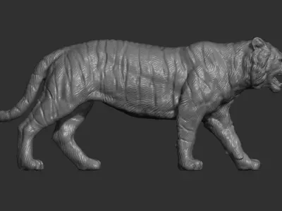 Tiger walking 3D print model