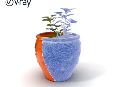 Decorative Plant Pot with Foliage Model Pack Low-poly 3D model