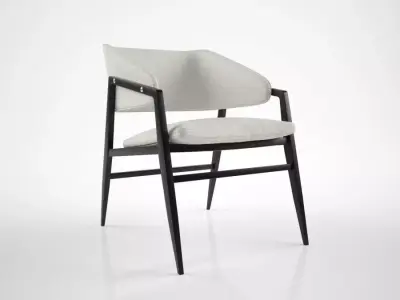 Gio Ponti Lounge chair 3D model