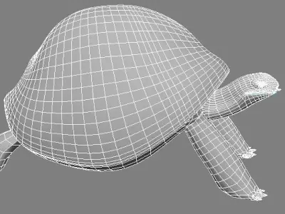 tortoise Low-poly 3D model purchase