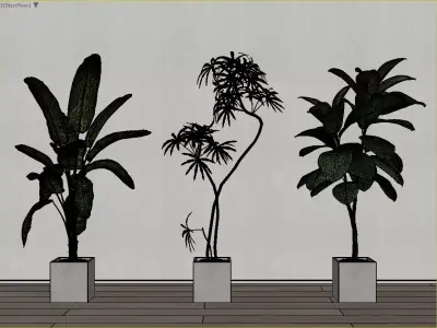 Modern Potted Green Plant Collection 3D Model 3D model