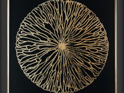 Collection of Picture Frames - 20 sets