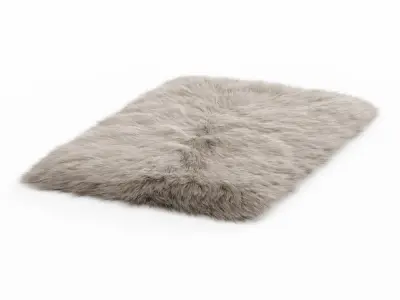 Fluffy rug with long fur 3D model