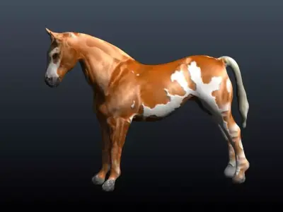horse 3D model