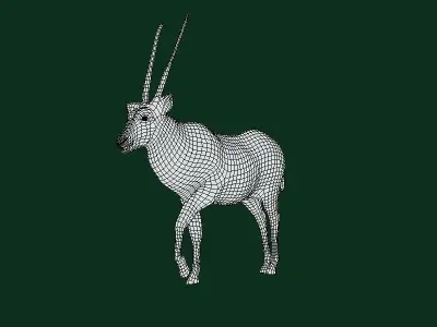 Gemsbok Oryx Antelope Low-poly 3D model