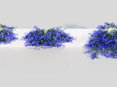 Lobelia erinus b 3D model