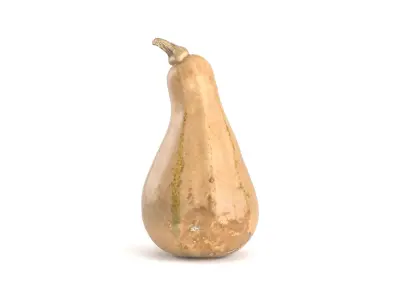 Decorative Pumpkin Gourd 2 3D model