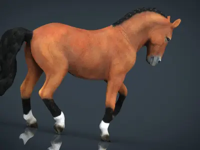  Dressage Horse Low-poly 3D model