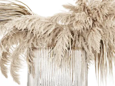 bouquet of dried flowers cortaderia pampas reed 514 3D model
