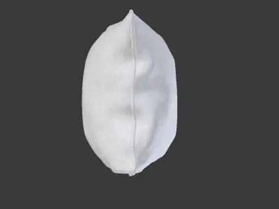 Piped Pillow 2 3D model
