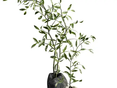 bouquet 3D model 4