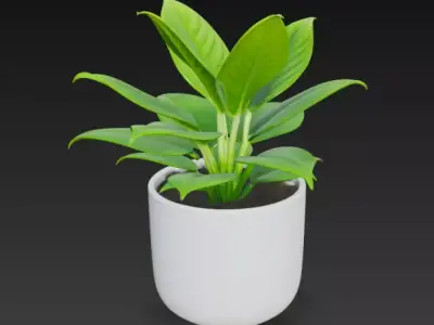 Realistic 3D Indoor Plant in White Ceramic Pot 3D model