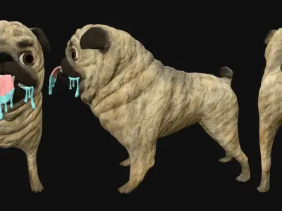 Pug Dog - Low Poly - Rigged - Animated - PBR Low-poly 3D model