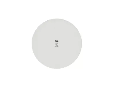 Plate - Tema e Variazioni by Fornasetti 3D model