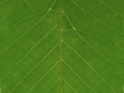 Set Decor 01 - DITIM 3D model