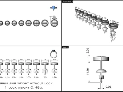 earrings stud luxury screw bolt  ear ring package 3D print model