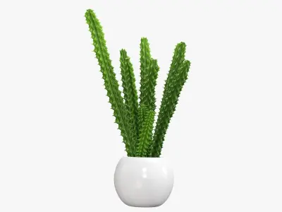Potted plant decorative 07 3D model