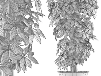 Plants Collection 76 3D model