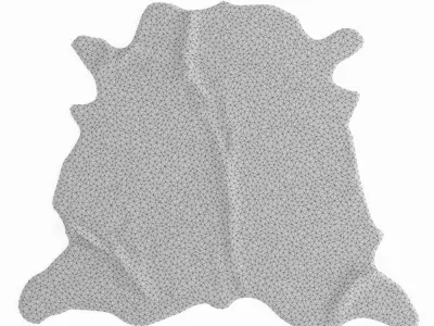 Cowhide Brown And White Rug 3D model