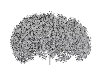 PBR Petunia Flower for Outdoor Environments Low-poly 3D model