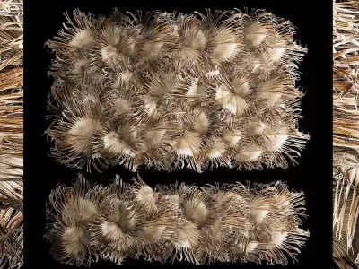 Wall decor made from dry branches of palm leaves 311 3D model