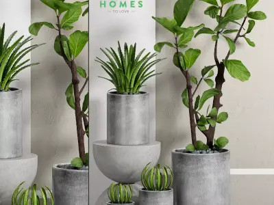 Decorative plant set-30 3D model