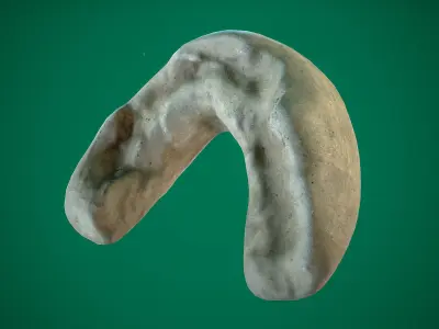 Mouthguard Low-poly 3D model
