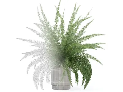 Fern in modern flower pot 3D model