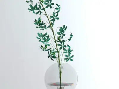 Schefflera Single 3D model