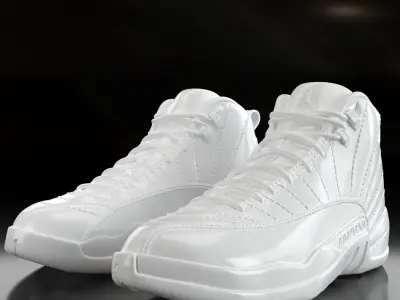 Air Jordan 12 Retro 3D print model