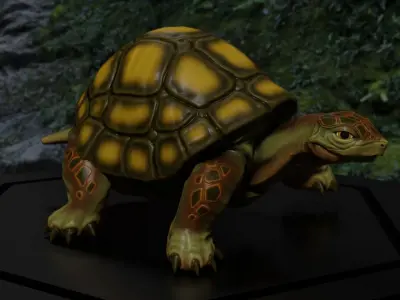 3D Turtle Low-poly 3D model