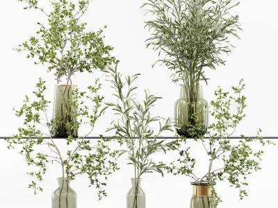 Collection Indoor Plant 01 3D Model Pack