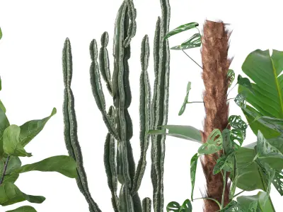 Plants collection 133 3D model