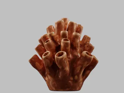 Shagun Deco 3D model