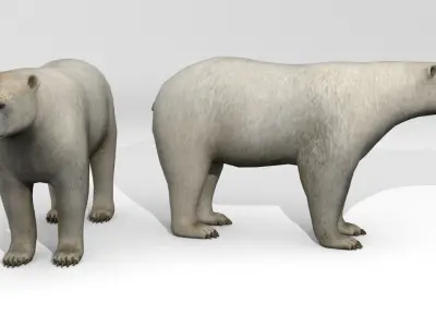 Polar Bear Low-poly 3D model