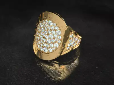 Ring 0213 3D print model