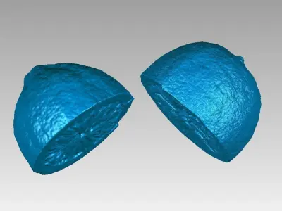 Real Lemon Fruit Cut in Two Pieces High Detail 3D Scan 3D print model