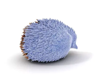 Spiky Echidna model pack Low-poly 3D model
