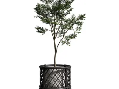 Kathyscove Jamies Diamond Black Planter - Medium 3D model