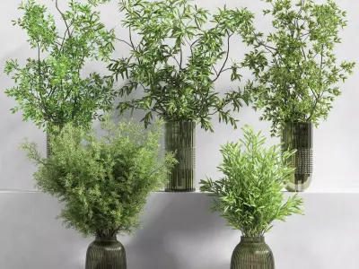 Collaction Plants Bouquet 15 3D model