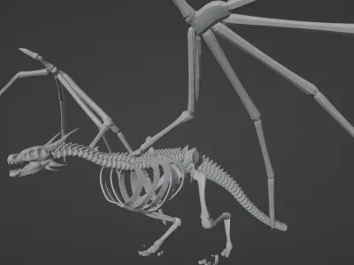skeleton dragon blender Low-poly 3D model