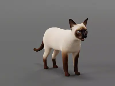 Siamese Cat Low-poly 3D model