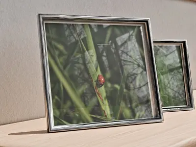 Wall Photo Frame Set with Nature Photography 3D model