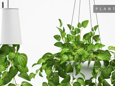 Hanging plants 131 3D model