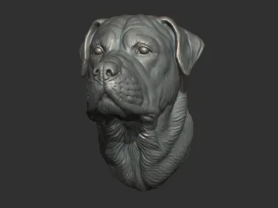 Rottweiler head dog 3D print model